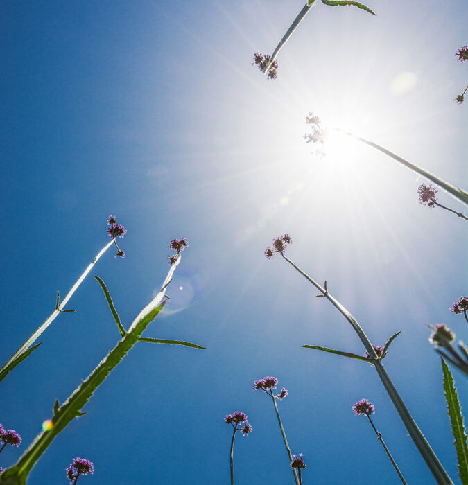 Convivencias de verano 2025