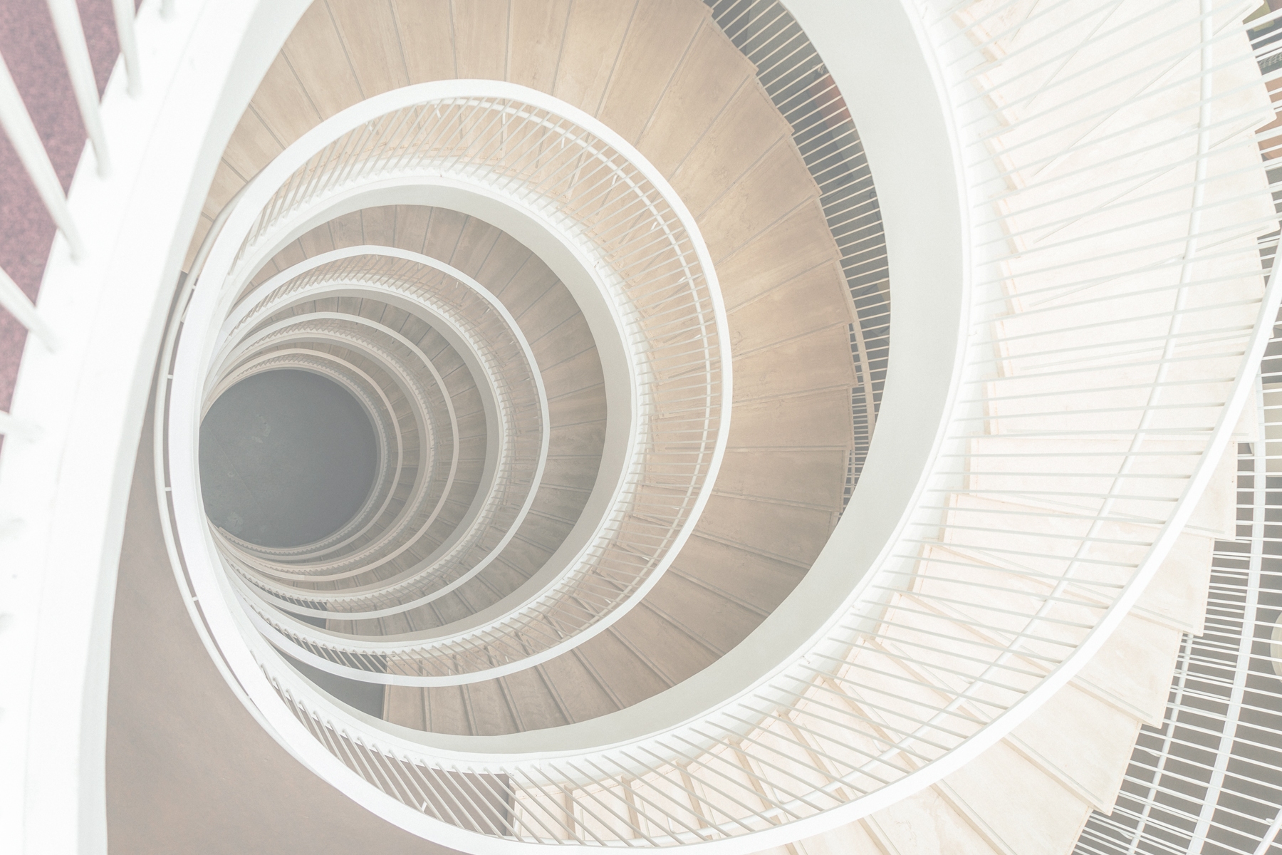 Albedro - Asociación Familiar y Cultural