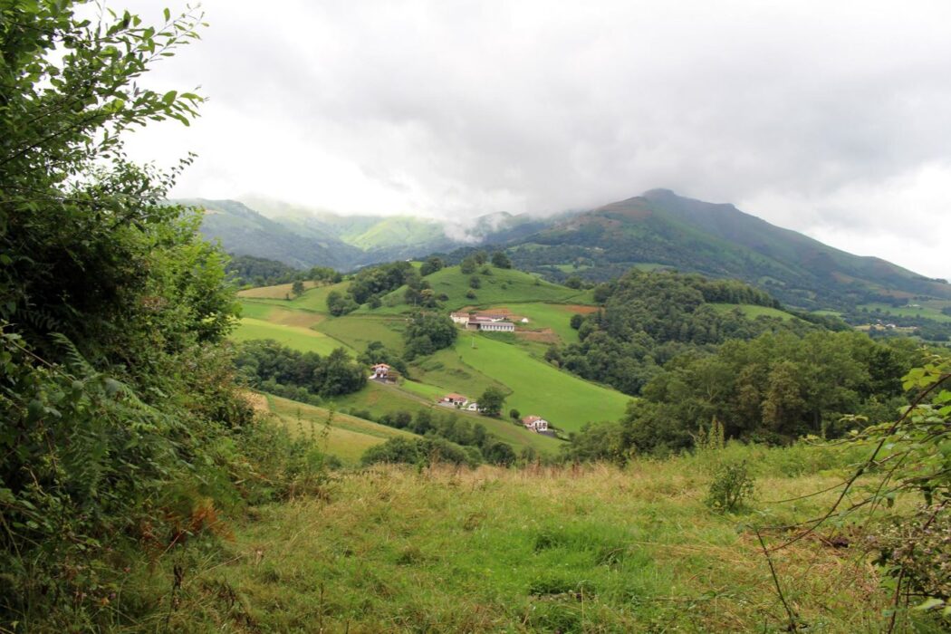 Camino de Santiago para Familias