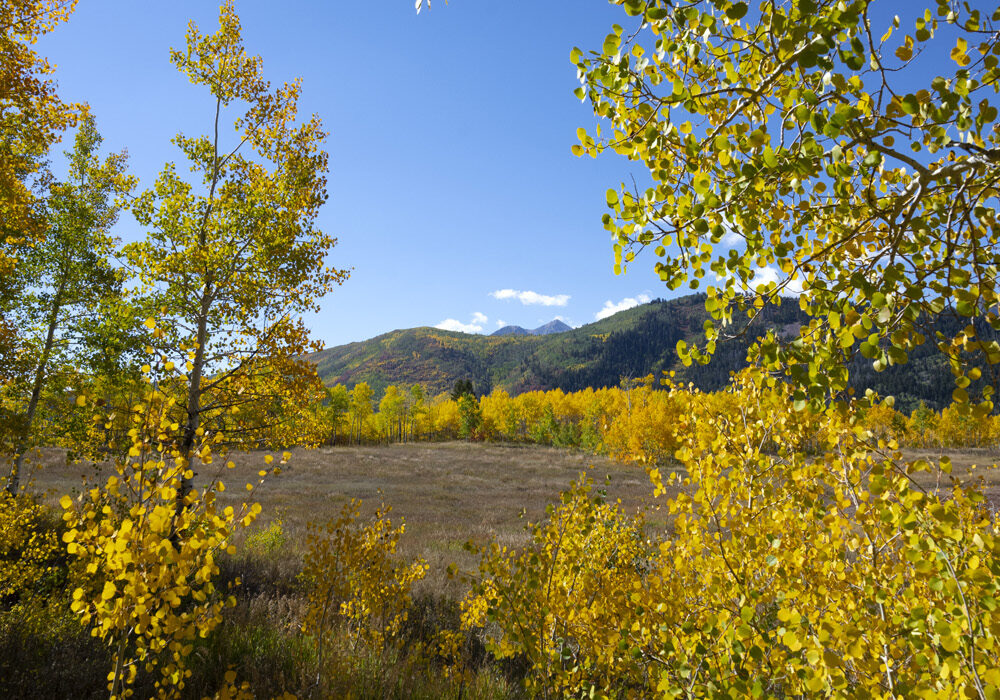 Campamento en Solverde