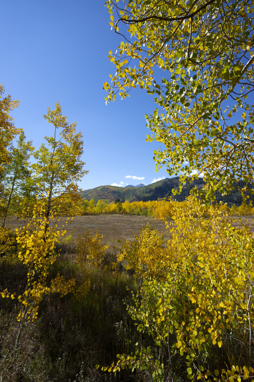 Campamento en Solverde