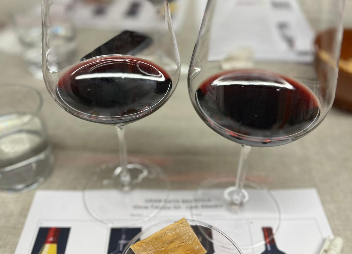 Gran acogida en la cata de vinos de Albedro: una experiencia para los sentidos