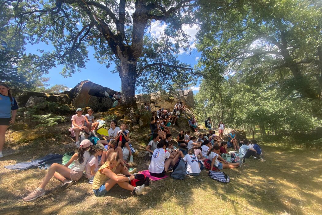 Campamentos y convivencias