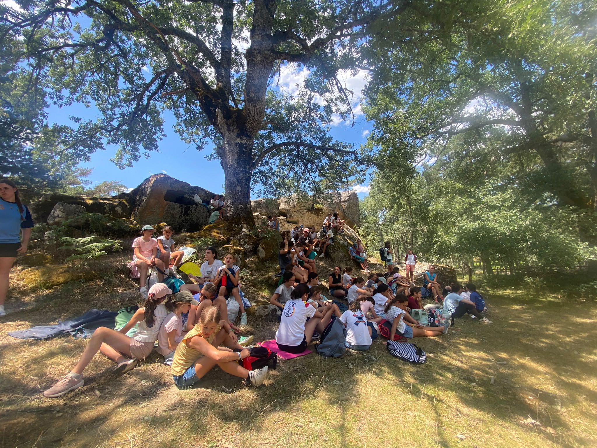 Campamentos y convivencias